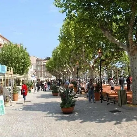 Avec Terrasse Et Parking Au Lavandou, Acces Direct - Fr-1-251-804 * 르 라방두